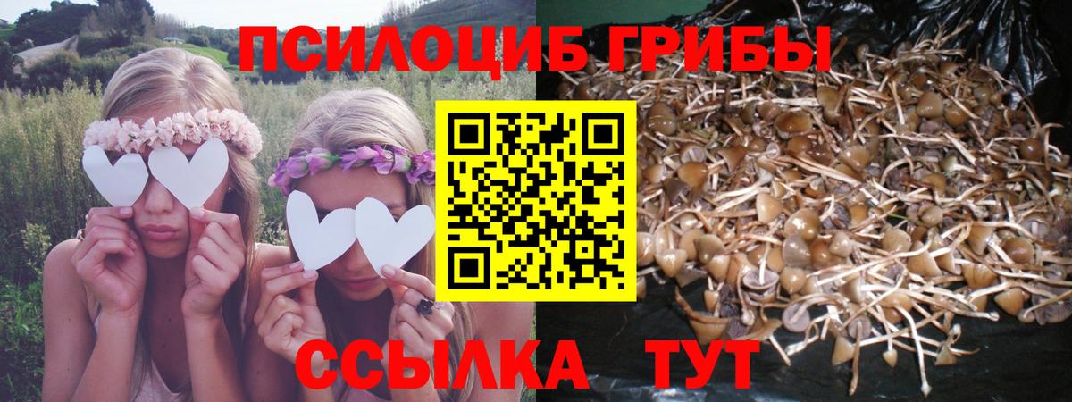 Псилоцибиновые грибы Magic Shrooms Россия