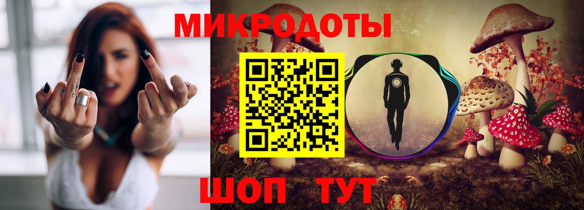 где найти наркотики  Вход с VPN  Россия  Псилоцибиновые грибы Psilocybine cubensis 