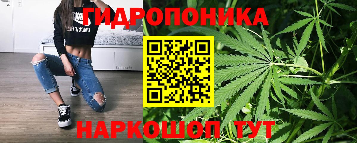 Россия  Шишки марихуана тримм  Вход с VPN  МАРИХУАНА план 